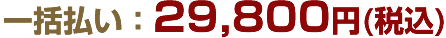 一括払い